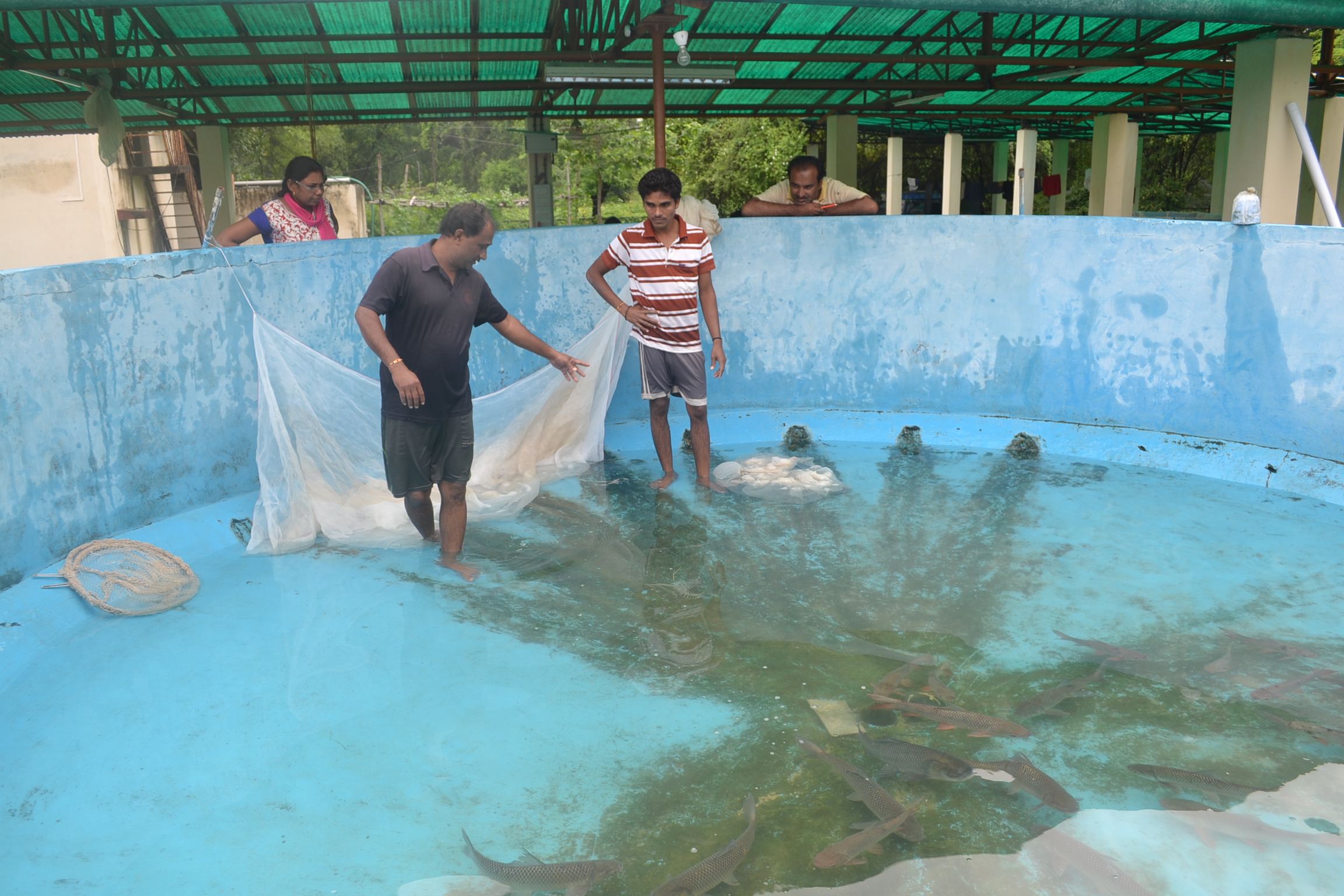 Aqua Farm Img 15